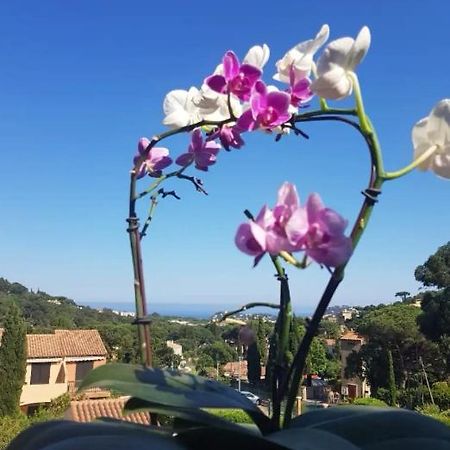 Hameau Du Soleil Appartement Cavalaire-sur-Mer Buitenkant foto